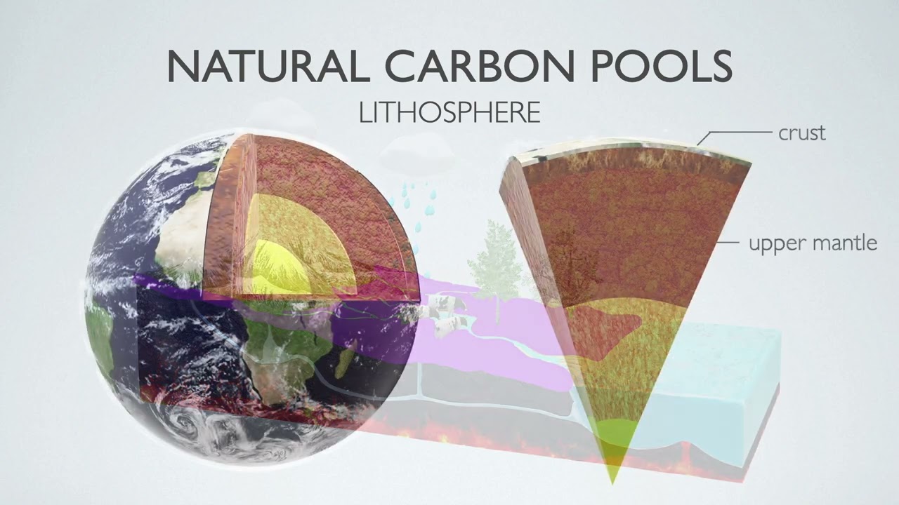 Carbon Education - Introduction - 053122
