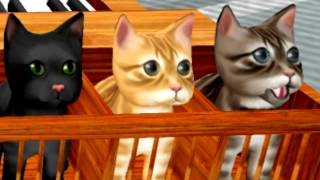 Jaide plays a cat organ in sl on Fri 03 04 16