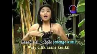 Watu Cilik - Lagu dangdut