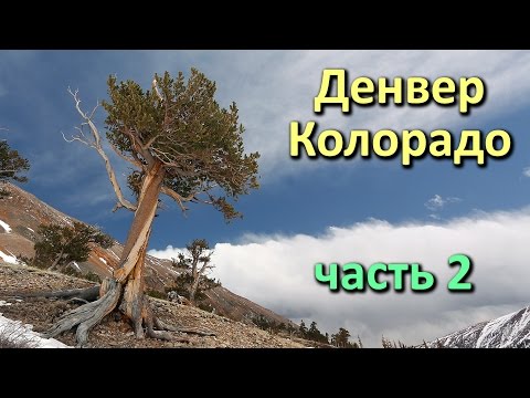 VLOG: Поездка в Денвер (штат Колорадо) - часть 2