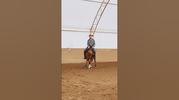 Always train the basics