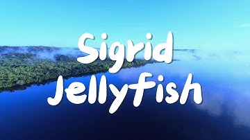 Sigrid - Jellyfish (Lyrics)