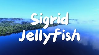 Download Lagu Sigrid - Jellyfish (Lyrics) MP3 Download Lagu Sigrid - Jellyfish (Lyrics) MP3