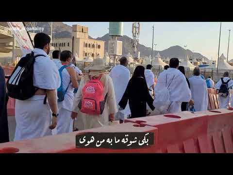 نشيد أفاض الحجيج وفاض الفؤاد كلمات أروى طارق جديد وحصري