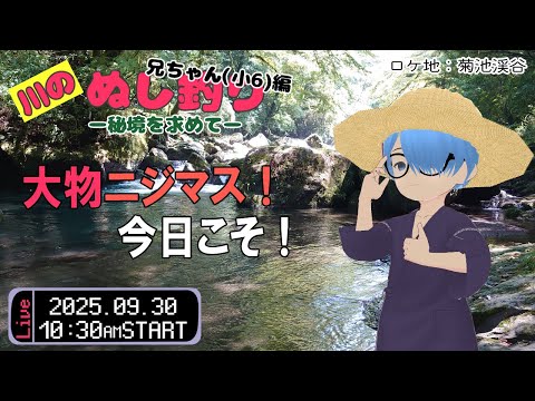 【川のぬし釣り～秘境を求めて～#008】久しぶりの釣り！のんびり雑談しましょ【二岡ゆうりのゆうりン家／熊本弁Vtuber】