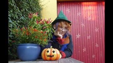 The Making of a Wizard Hat  (Tutorial)