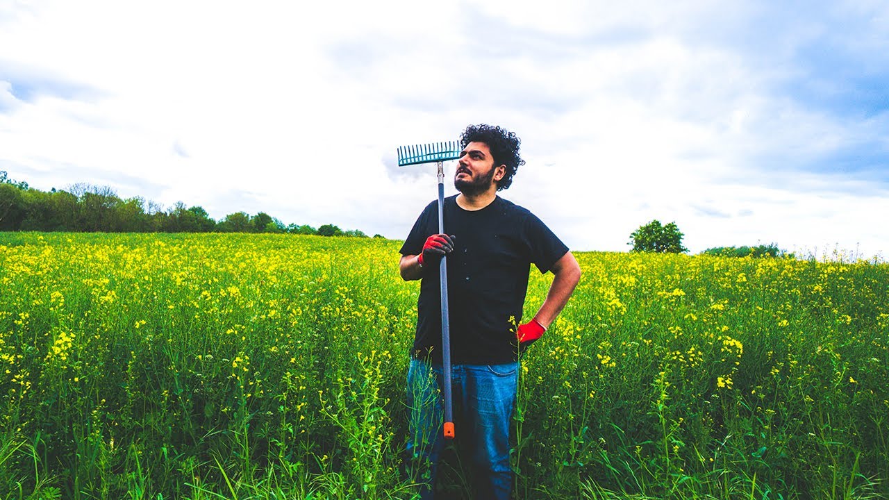 اشتغلت مزارع في حقول المانيا