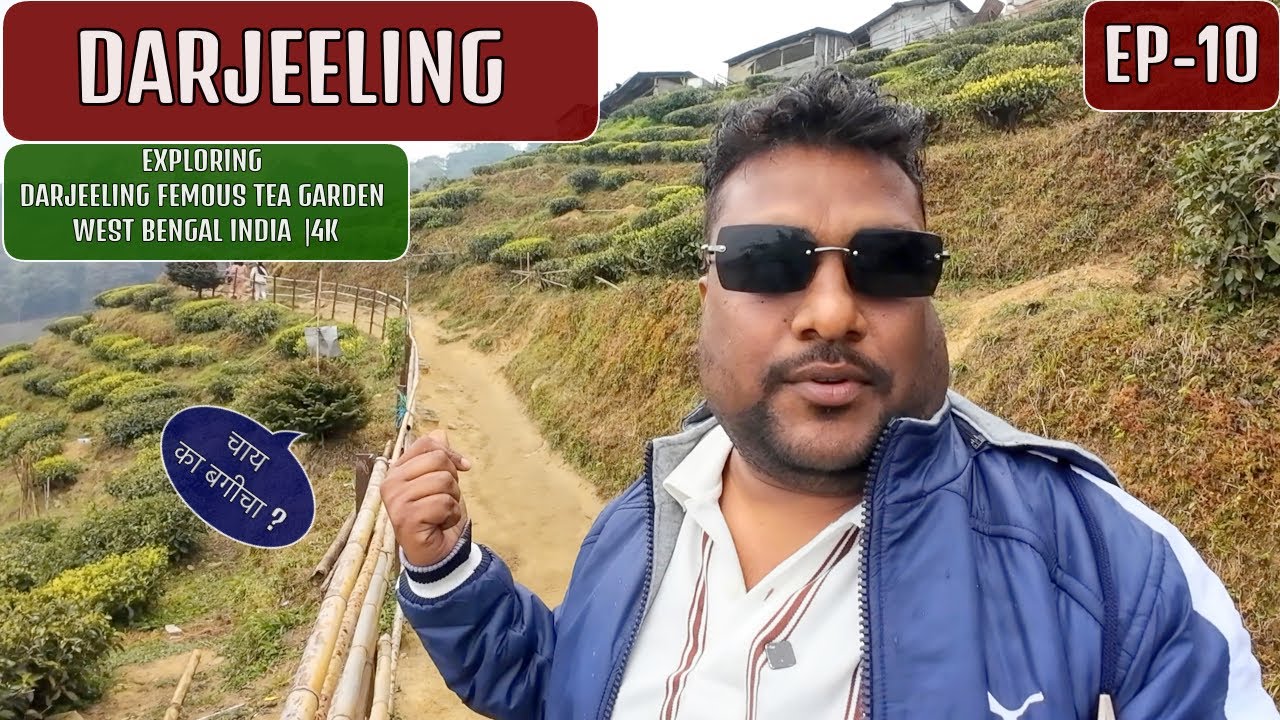 Дарджилинг – Чайная плантация – Западная Бенгалия, Индия, EP-10 🇮🇳