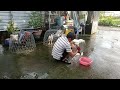 Lên tốp 4 Em gà tơ giá rẻ chỉ vài xị anh em tham khảo nhé 0961427028