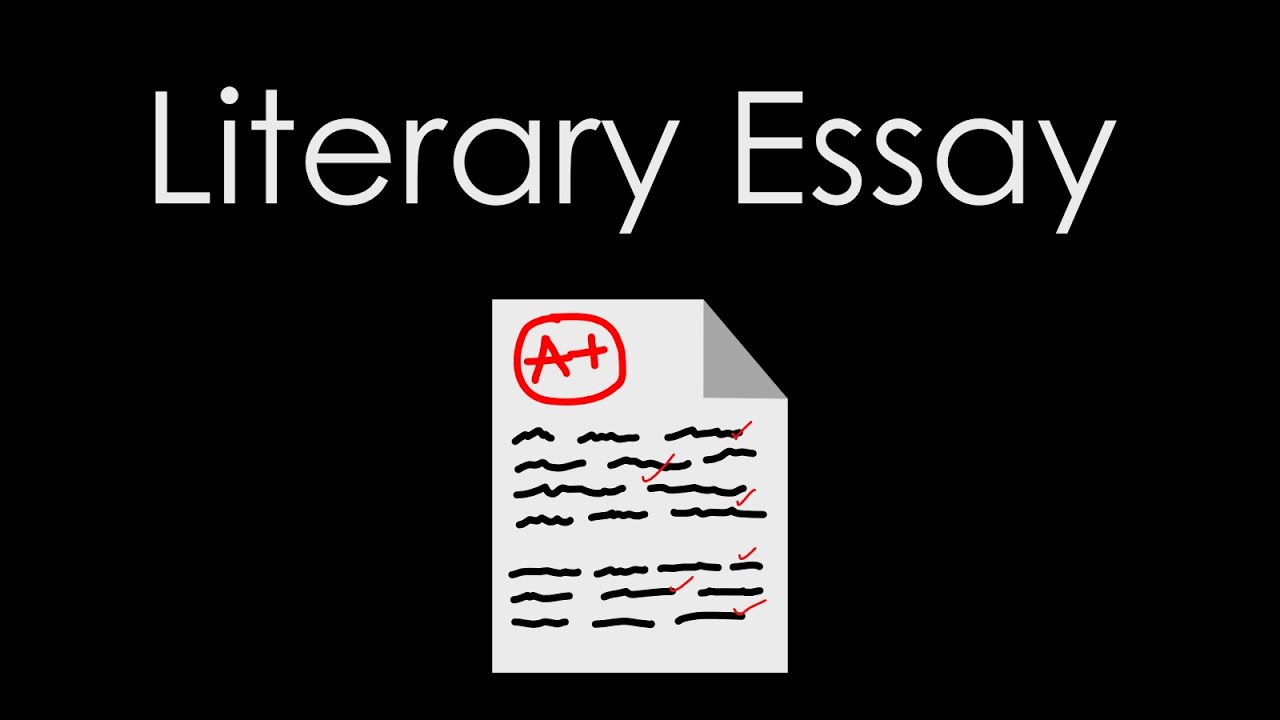 literary essay ieb