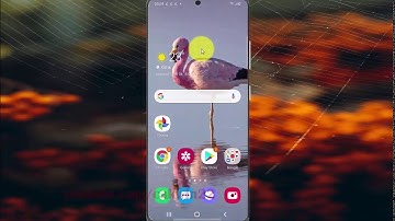 Samsung Galaxy S20 : How to enable or disable screen reader Node tree debugging (Android 10)