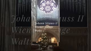 Timeless Prague Mood 🎶 Classical Music for Focus