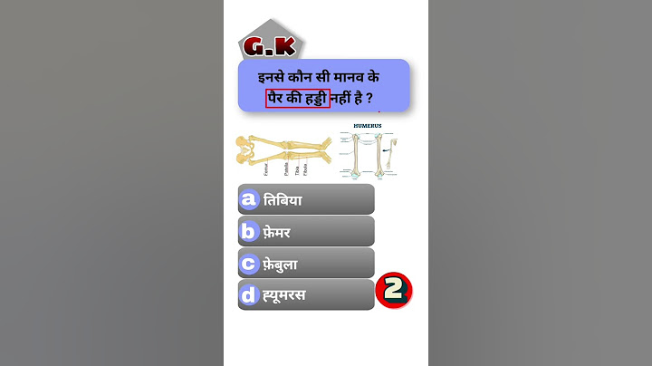 gk | gk question | general knowledge | gk in hindi | gk questions