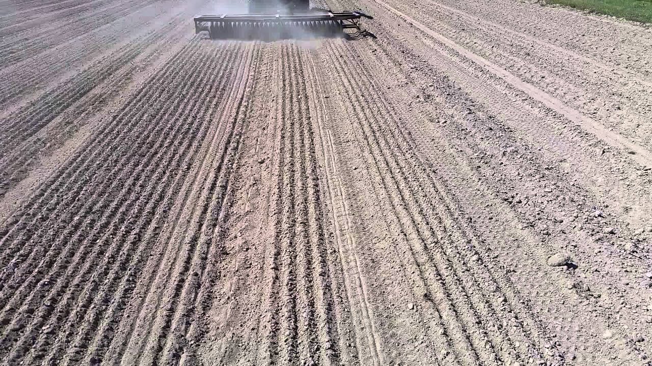 Using the cultipacker on a cover crop - YouTube