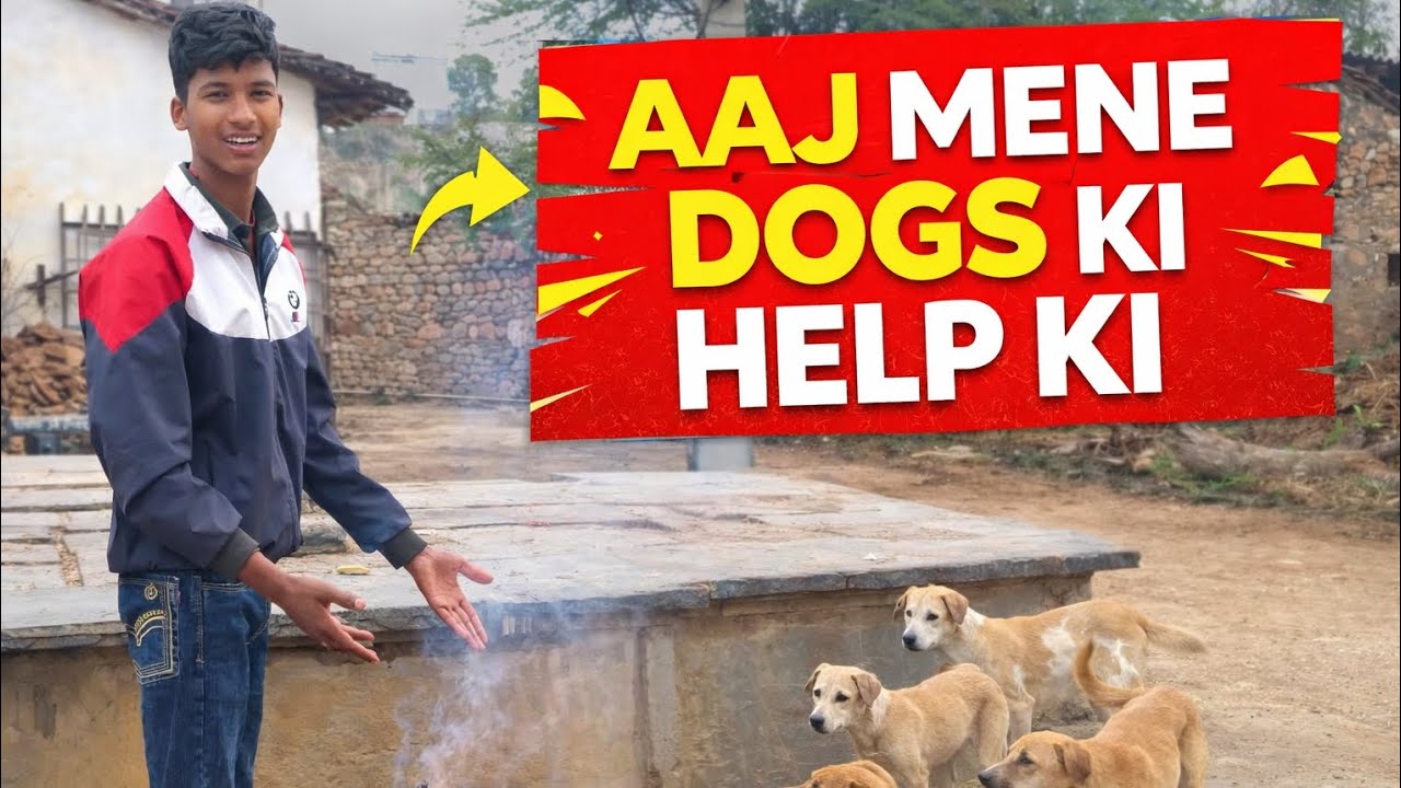 aaj mene dogs ki help ki gyus Vlog day=3/365  gyus aap support ki bhut jrurt he😍👍
