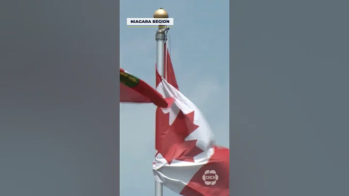 Controversial Niagara Catholic board trustee hit with sanctions #shorts