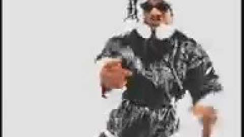 Busta Rhymes - Woo Hah!! (Got You All In Check).mp4