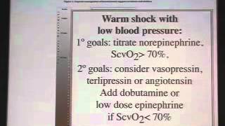 ACCM/AHA/PALS Guidelines for Hemodynamic Support of Septic Shock: After the First Hour