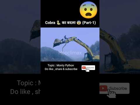 Cobra 🐍 का बदला 😨 / Monty Python Snake  / movie explained in hindi / #viral #shorts  @hopclimax
