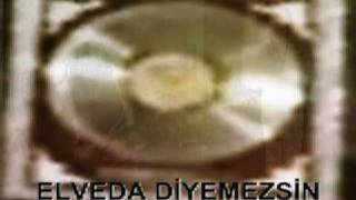 Hakki Bulut Elveda Diyemeszin Resimi