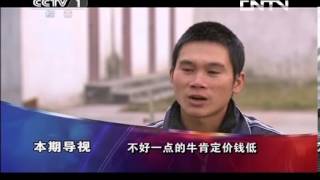 今日说法 《今日说法》 20130919 嫁入深山的女人