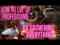 Why I Gather all the resources in NEW WORLD or  How to LVL up ALL your proffesions