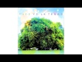 Yo La Tengo - Before We Run