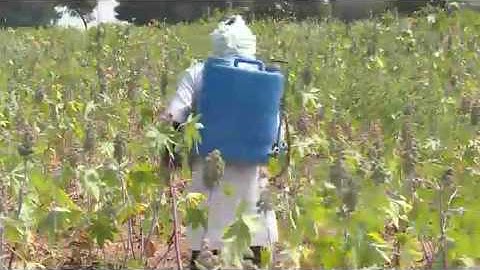 Access and Benefit Sharing mechanism (ABS)