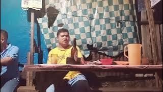 lagu batak lady cover lapo tuak