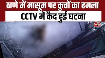 Thumbnail for Maharashtra के Thane में कुत्तों ने 2 साल की बच्ची को नोचा, CCTV में कैद हुई दर्दनाक घटना