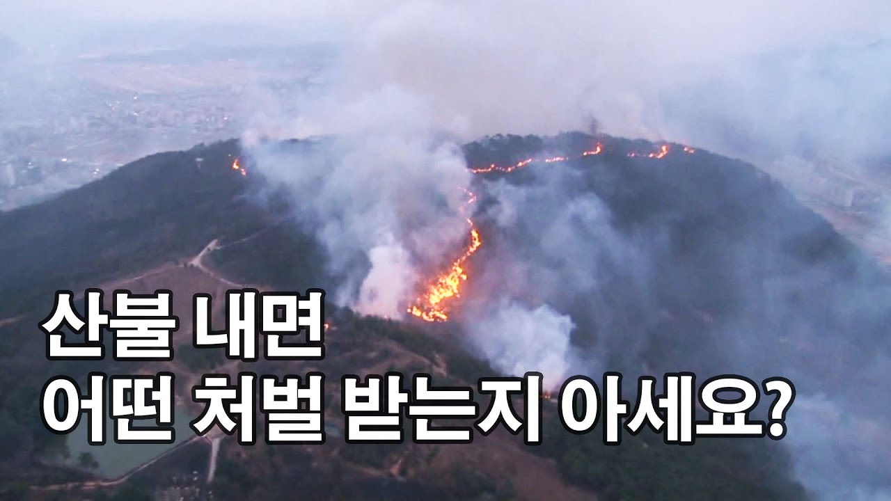 산불 내면 어떤 처벌 받는지 아세요?