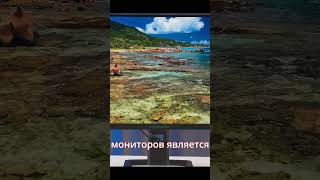 Titan army P275MV #miniled #4k #hdr