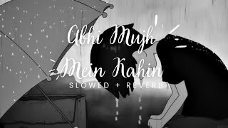Abhi Mujh Mein Kahin (Slowed + Reverb) || Sonu Nigam || Agneepath 🎧