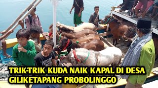 TRIK-TRIK KUDA NAIK KAPAL DI DESA GILIKETAPANG PROBOLINGGO||JAWATIMUR