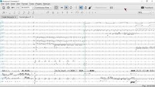 Arransemen Drumband Musik Jawa