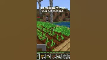 Extreme organizing in#Minecraftbut cozy#wow#memes#music#trending#ticktock#viral#ticktock#toptreding.