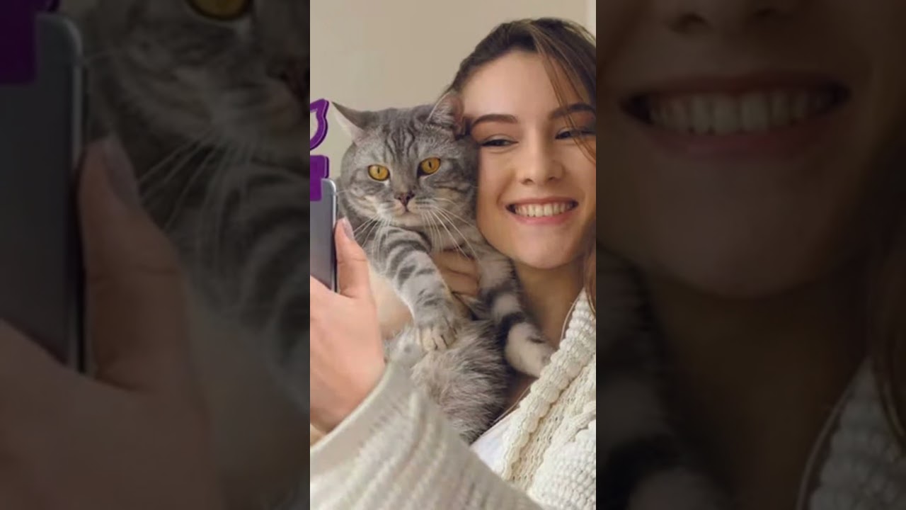 Gifts for Animal Lovers