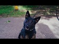 KDPS K9 Video