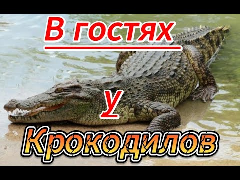 Бейне: Святослав Сахарнов Владимирович - өмірбаяны, кітаптар, қызықты фактілер мен шолулар