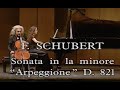 SCHUBERT - &quot;Arpeggione&quot; Sonata (1st movement)