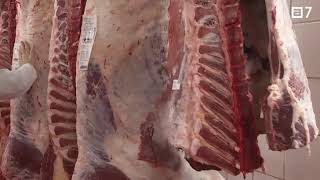 El Matadero central de Asturias logra una certificación en bienestar animal