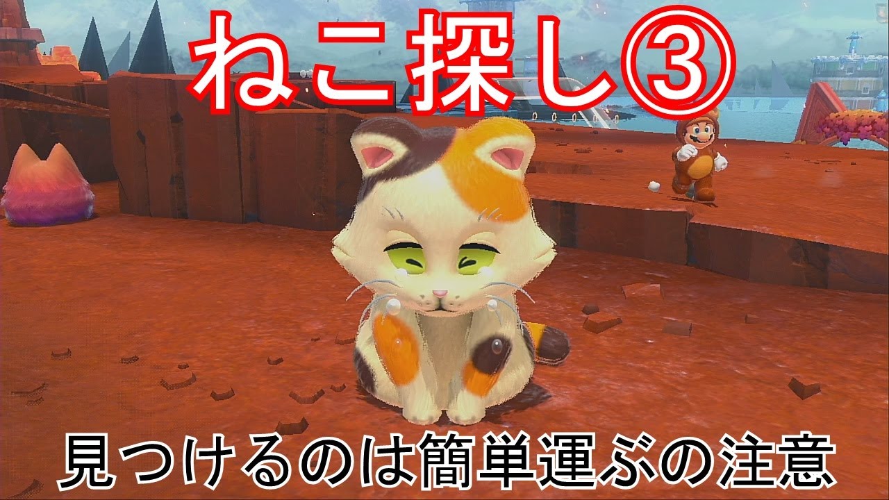 フューリーワールド ねこ探し 100個 ネコシャイン スーパーマリオ3D