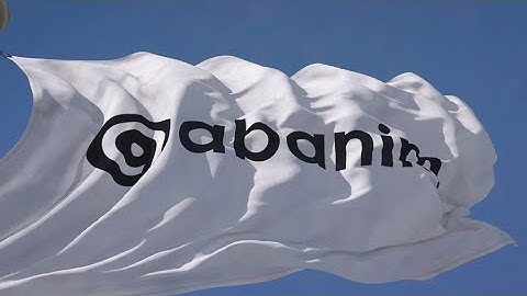 3D Flag Logo | Intro | Animations