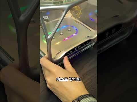 책상에서 키워보는 작은 숲 thumbnail