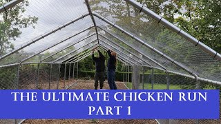 The Ultimate Chicken Run: Part 1 Choosing a Space & Run