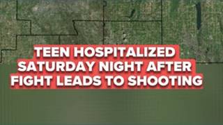 Fight in Madison Township ends in hospitalization of teen