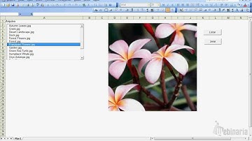 Lista Imagens em Diretório em Excel com VBA (list file dir image)