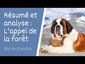 Lappel de la fort de jack london rsum et analyse