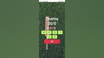 Cricket Score HTML CSS JAVASCRIPT Project | #cricketproejct #html #css #javascript