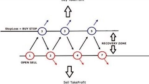 RobotFX Auto Recovery 3.0 - How to hedge a forex trade
